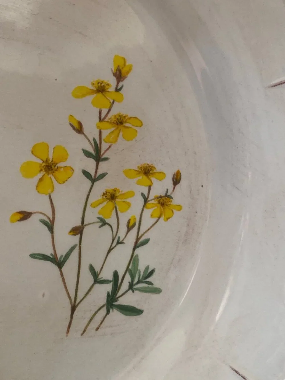 Loucarte Portugal Floral Ceramic Serving Platter 13.5